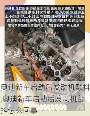 奥迪新车启动后发动机颤抖,奥迪新车启动后发动机颤抖怎么回事