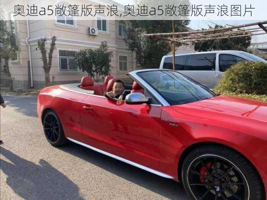 奥迪a5敞篷版声浪,奥迪a5敞篷版声浪图片