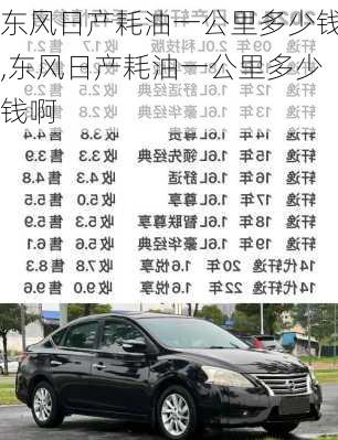 东风日产耗油一公里多少钱,东风日产耗油一公里多少钱啊