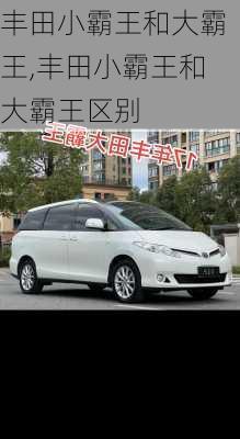 丰田小霸王和大霸王,丰田小霸王和大霸王区别