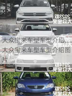 大众宝来车型车型介绍,大众宝来车型车型介绍图片