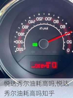 悦达秀尔油耗高吗,悦达秀尔油耗高吗知乎