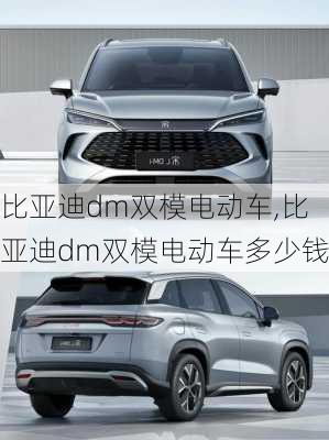 比亚迪dm双模电动车,比亚迪dm双模电动车多少钱