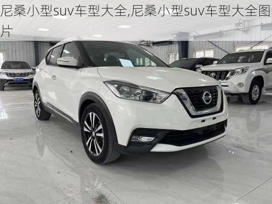 尼桑小型suv车型大全,尼桑小型suv车型大全图片