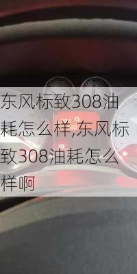 东风标致308油耗怎么样,东风标致308油耗怎么样啊