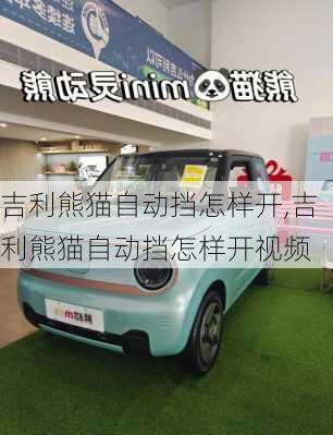 吉利熊猫自动挡怎样开,吉利熊猫自动挡怎样开视频