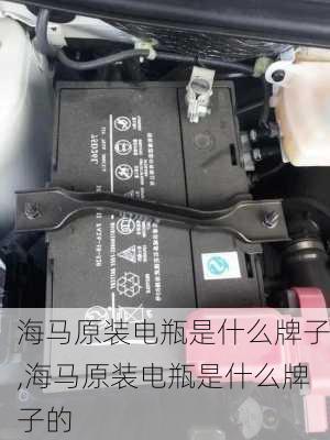 海马原装电瓶是什么牌子,海马原装电瓶是什么牌子的
