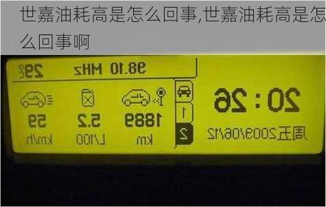 世嘉油耗高是怎么回事,世嘉油耗高是怎么回事啊
