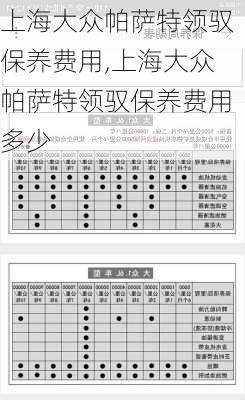 上海大众帕萨特领驭保养费用,上海大众帕萨特领驭保养费用多少