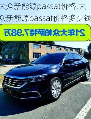 大众新能源passat价格,大众新能源passat价格多少钱