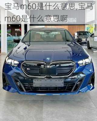 宝马m60是什么意思,宝马m60是什么意思啊