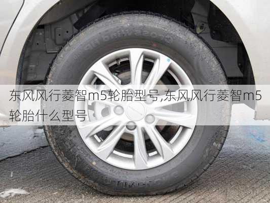 东风风行菱智m5轮胎型号,东风风行菱智m5轮胎什么型号