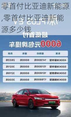 零首付比亚迪新能源,零首付比亚迪新能源多少钱