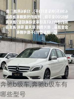 奔驰b级车,奔驰b级车有哪些型号