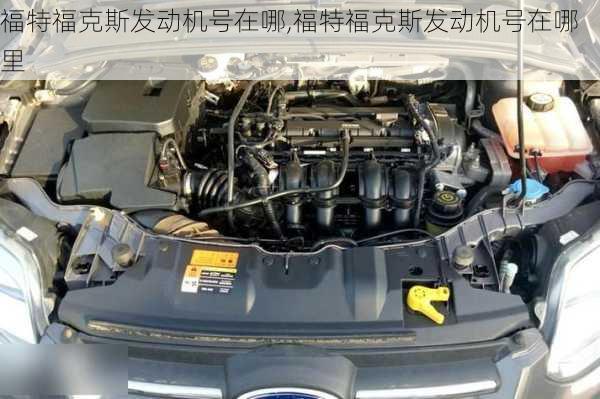 福特福克斯发动机号在哪,福特福克斯发动机号在哪里