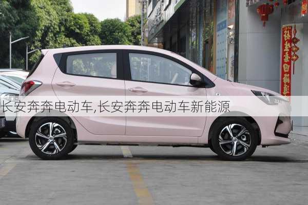 长安奔奔电动车,长安奔奔电动车新能源