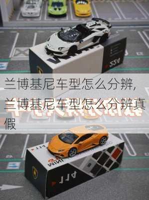 兰博基尼车型怎么分辨,兰博基尼车型怎么分辨真假