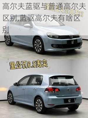 高尔夫蓝驱与普通高尔夫区别,蓝驱高尔夫有啥区别