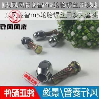 东风风行菱智m5轮胎螺丝用多大,东风菱智m5轮胎螺丝用多大套头