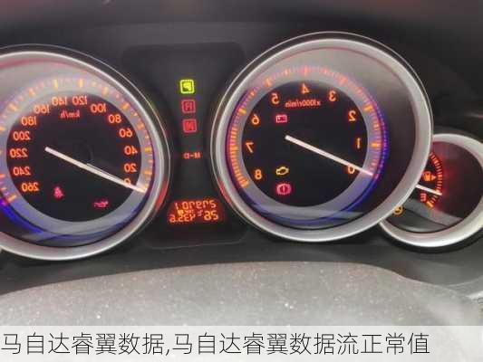 马自达睿翼数据,马自达睿翼数据流正常值