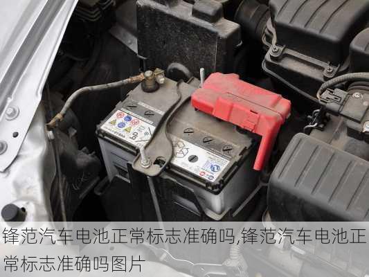 锋范汽车电池正常标志准确吗,锋范汽车电池正常标志准确吗图片