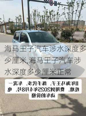海马王子汽车涉水深度多少厘米,海马王子汽车涉水深度多少厘米正常