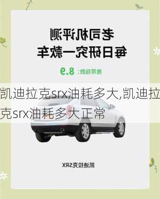 凯迪拉克srx油耗多大,凯迪拉克srx油耗多大正常