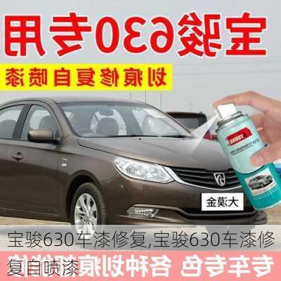 宝骏630车漆修复,宝骏630车漆修复自喷漆