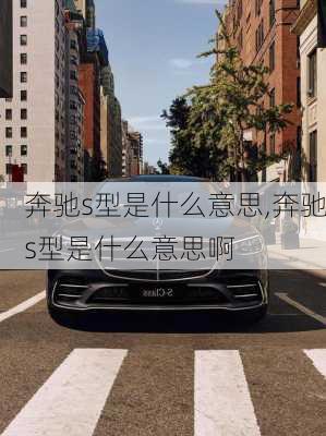 奔驰s型是什么意思,奔驰s型是什么意思啊