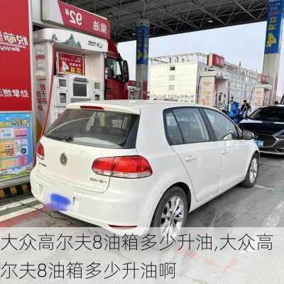 大众高尔夫8油箱多少升油,大众高尔夫8油箱多少升油啊