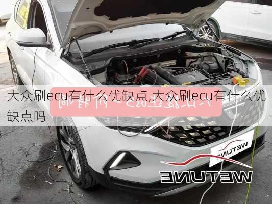 大众刷ecu有什么优缺点,大众刷ecu有什么优缺点吗