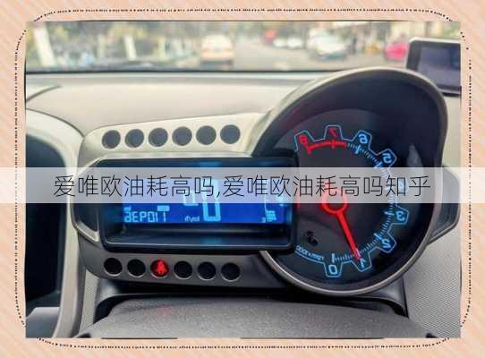 爱唯欧油耗高吗,爱唯欧油耗高吗知乎