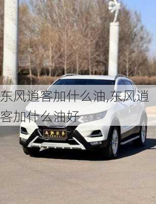 东风逍客加什么油,东风逍客加什么油好