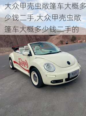大众甲壳虫敞篷车大概多少钱二手,大众甲壳虫敞篷车大概多少钱二手的