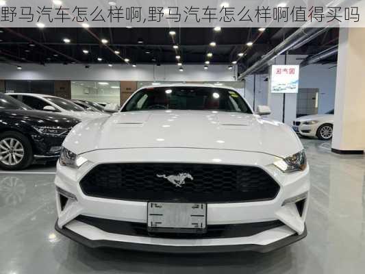 野马汽车怎么样啊,野马汽车怎么样啊值得买吗