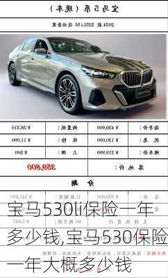 宝马530li保险一年多少钱,宝马530保险一年大概多少钱