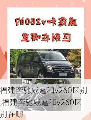 福建奔驰威霆和v260区别,福建奔驰威霆和v260区别在哪