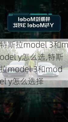 特斯拉model 3和model y怎么选,特斯拉model 3和model y怎么选择