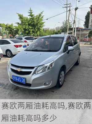 赛欧两厢油耗高吗,赛欧两厢油耗高吗多少