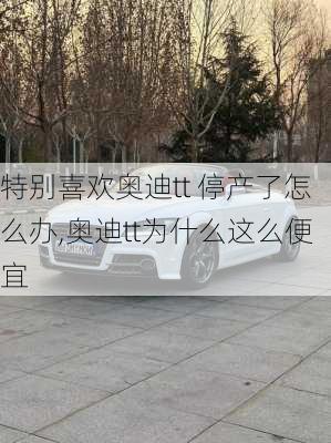 特别喜欢奥迪tt 停产了怎么办,奥迪tt为什么这么便宜
