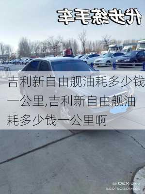 吉利新自由舰油耗多少钱一公里,吉利新自由舰油耗多少钱一公里啊