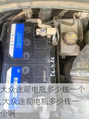 大众途观电瓶多少钱一个,大众途观电瓶多少钱一个啊