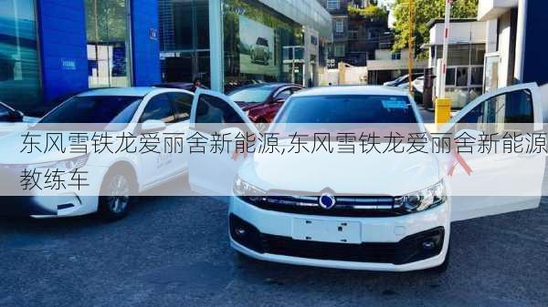 东风雪铁龙爱丽舍新能源,东风雪铁龙爱丽舍新能源教练车