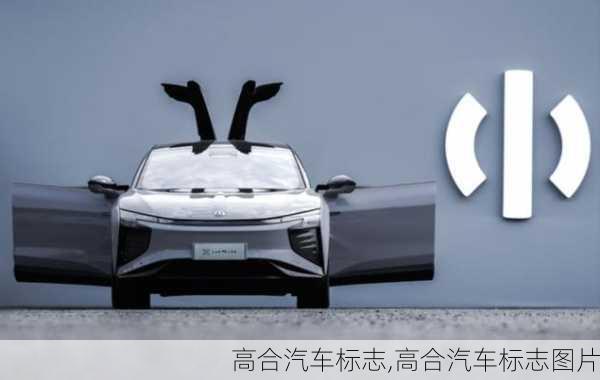 高合汽车标志,高合汽车标志图片