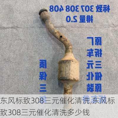 东风标致308三元催化清洗,东风标致308三元催化清洗多少钱