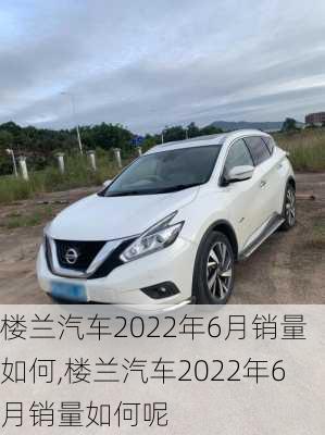 楼兰汽车2022年6月销量如何,楼兰汽车2022年6月销量如何呢