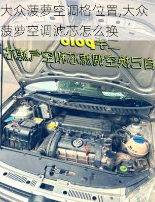 大众菠萝空调格位置,大众菠萝空调滤芯怎么换