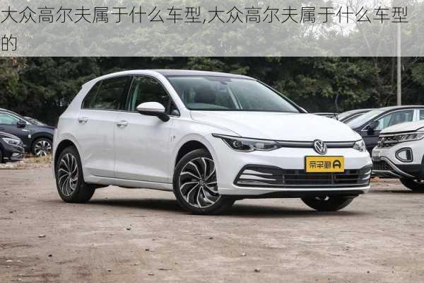 大众高尔夫属于什么车型,大众高尔夫属于什么车型的