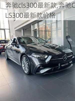 奔驰cls300最新款,奔驰CLS300最新款价格