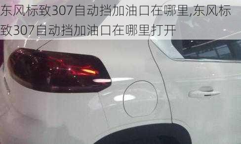 东风标致307自动挡加油口在哪里,东风标致307自动挡加油口在哪里打开